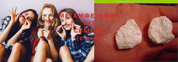 прущие грибы Куйбышев
