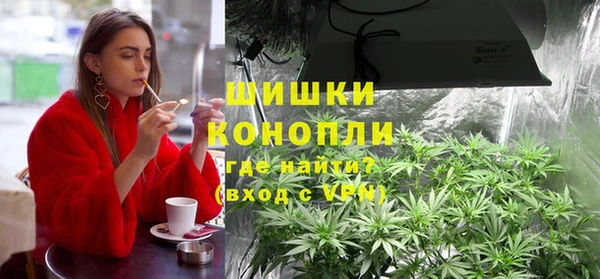 прущие грибы Куйбышев